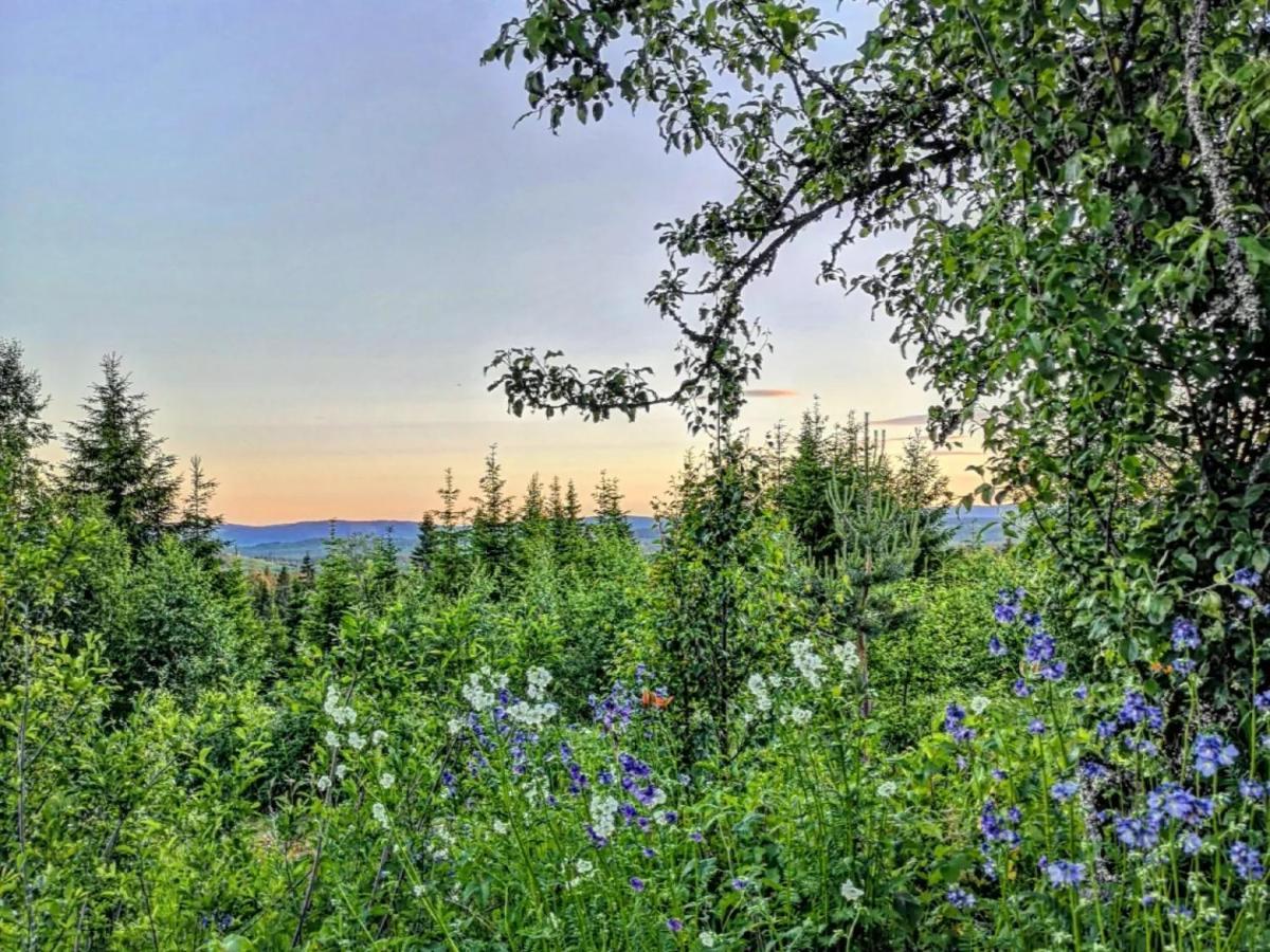 Glamping Tent With Amazing View In The Forest Torsby Buitenkant foto