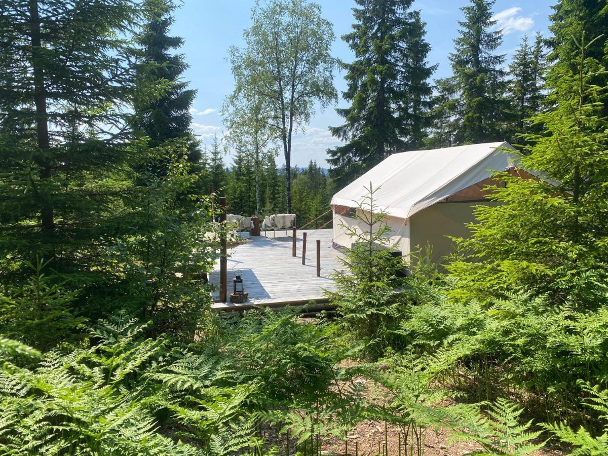 Glamping Tent With Amazing View In The Forest Torsby Buitenkant foto